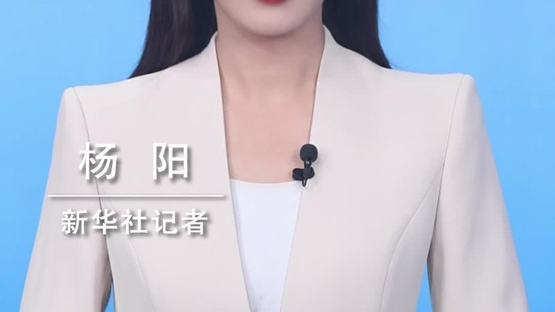 科技公司批发价格：揭秘背后的逻辑与考量**